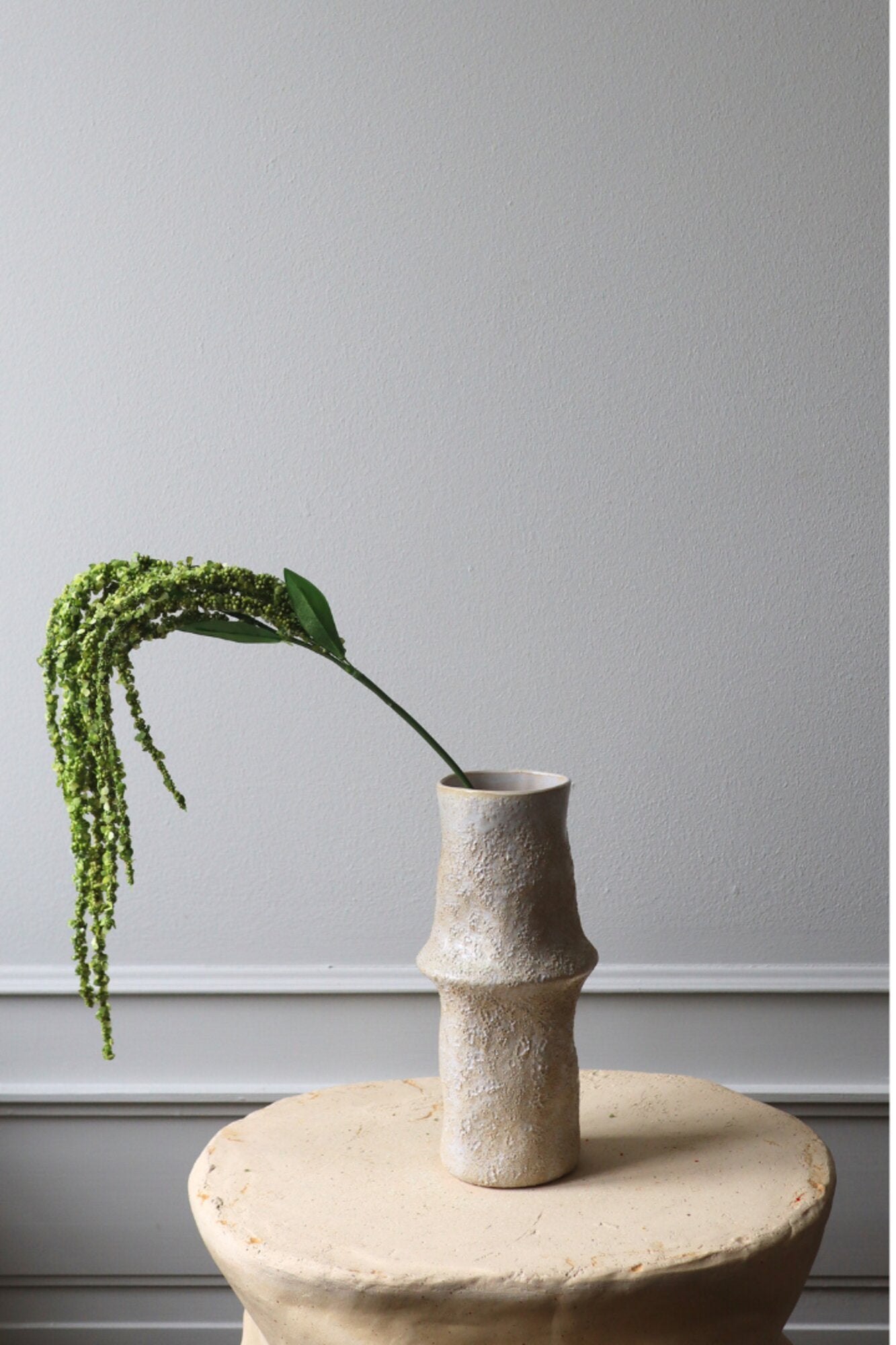 Amaranthus blomst - grøn